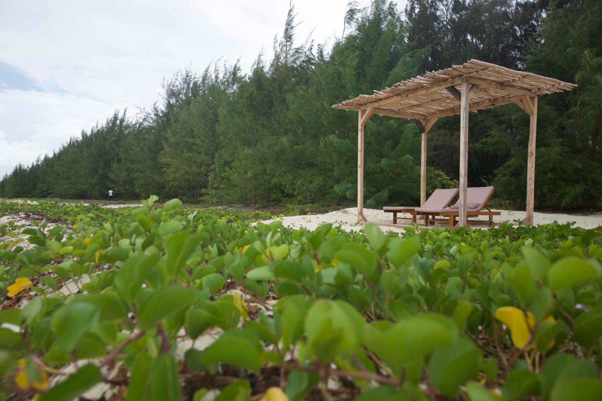 Kivuli Beach Resort Paje Eksteriør bilde